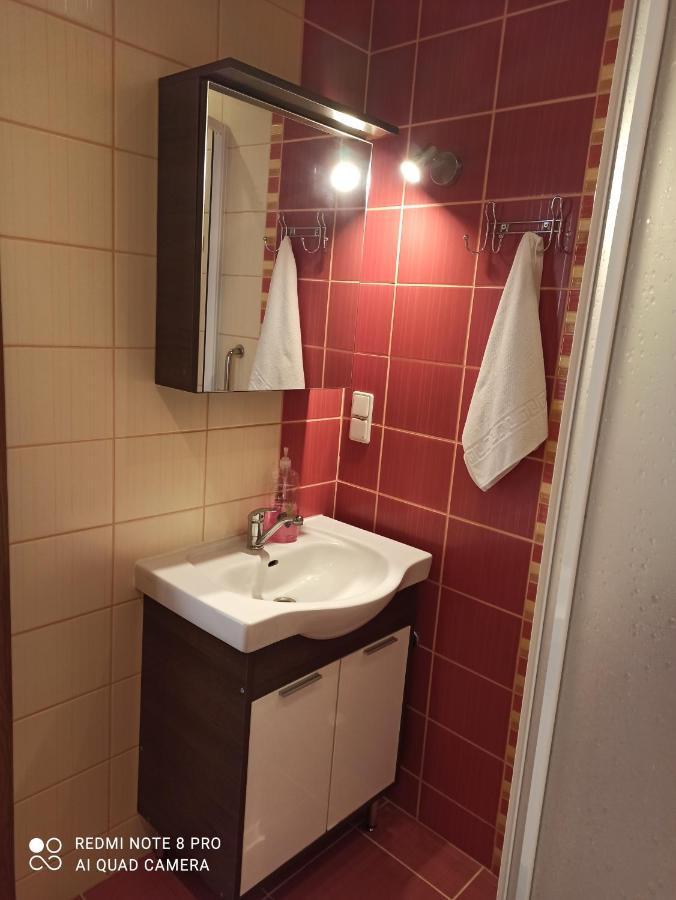 Nelli Apartamentai Druskininkai Dış mekan fotoğraf