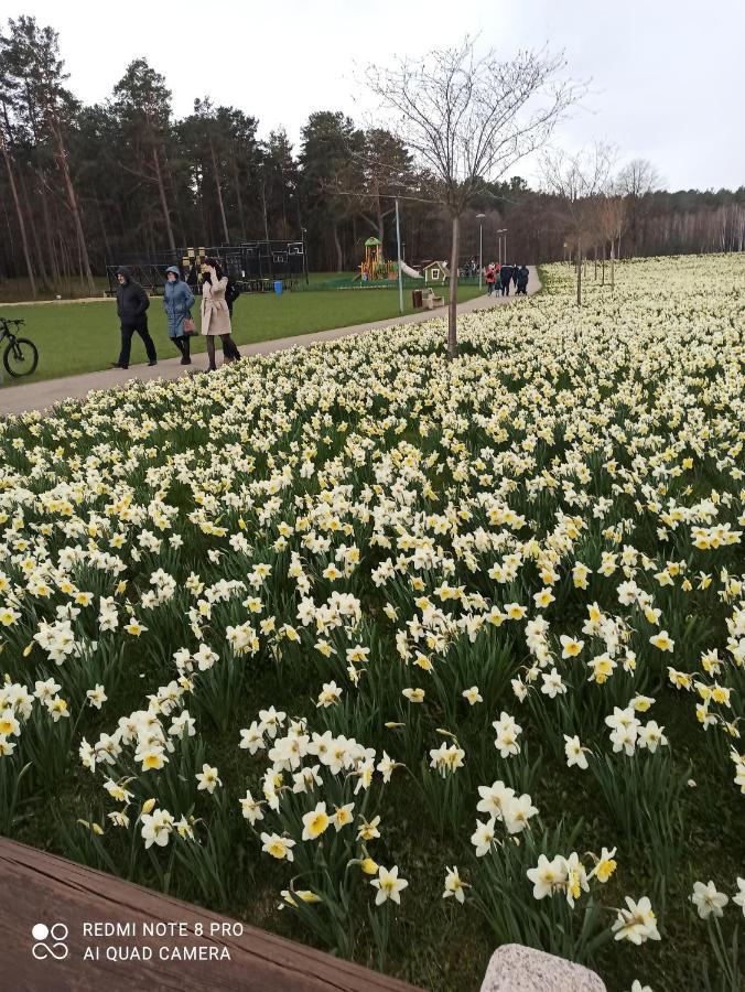 Nelli Apartamentai Druskininkai Dış mekan fotoğraf