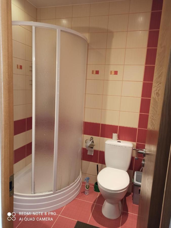 Nelli Apartamentai Druskininkai Dış mekan fotoğraf
